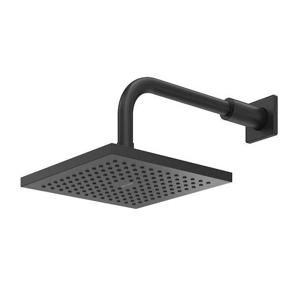 https://stsharedaueastprodn8wg.blob.core.windows.net/pim-assets/ProductThumbnail/16-1133MBK_BK_Image_HeroImage_Rere_Wall_Shower_on_Straight_Arm_(Matte_Black).jpg