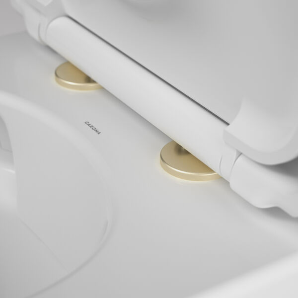 https://stsharedaueastprodn8wg.blob.core.windows.net/pim-assets/ProductThumbnail/254213BB Urbane II Toilet Seat Hinge Cap_ToiletDetail_BBrass.jpg