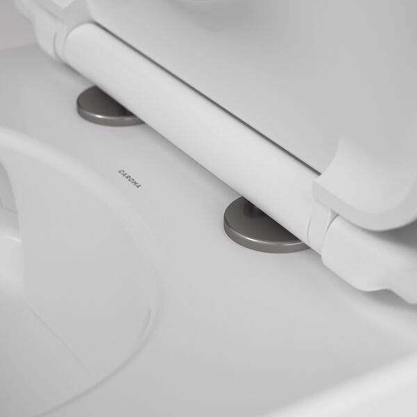 https://stsharedaueastprodn8wg.blob.core.windows.net/pim-assets/ProductThumbnail/254213GM Urbane II Toilet Seat Hinge Cap_ToiletDetail_HingeGunmetal.jpg