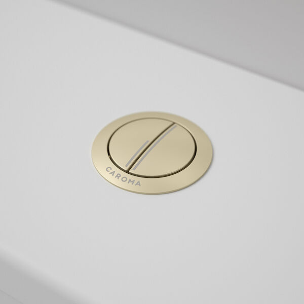 https://stsharedaueastprodn8wg.blob.core.windows.net/pim-assets/ProductThumbnail/687071BB Toilet Flush Button - Round Metal - Brushed Brass_ToiletDetail.jpg