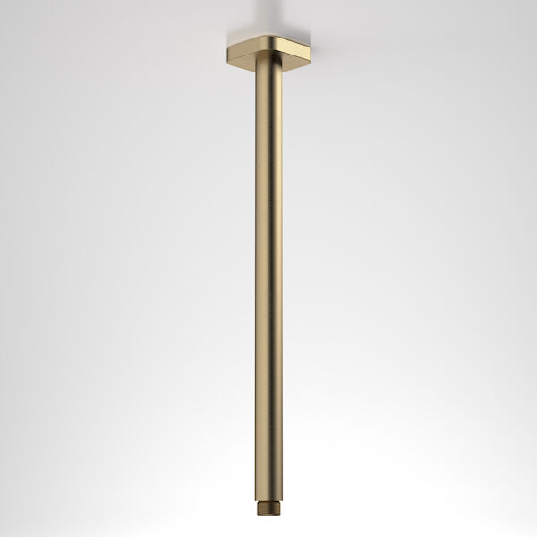 https://stsharedaueastprodn8wg.blob.core.windows.net/pim-assets/ProductThumbnail/90389BB Luna STRAIGHT ARM SQ FLANGE 410MM_BrushedBrass.jpg