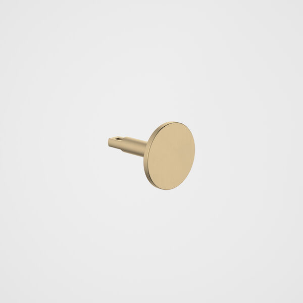 https://stsharedaueastprodn8wg.blob.core.windows.net/pim-assets/ProductThumbnail/96328BB Urbane II Universal Robe Hook - Brushed Brass.jpg