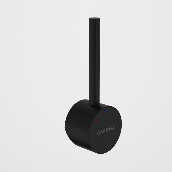 https://stsharedaueastprodn8wg.blob.core.windows.net/pim-assets/ProductThumbnail/96382B Liano II Sink Mixer Handle - Matte Black.jpg