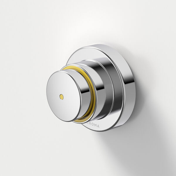 https://stsharedaueastprodn8wg.blob.core.windows.net/pim-assets/ProductThumbnail/96417 CIVIC Timed Flow Shower Push Button - Chrome.jpg