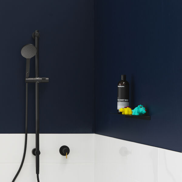 https://stsharedaueastprodn8wg.blob.core.windows.net/pim-assets/ProductThumbnail/CLARK rail shower top inlet.jpg