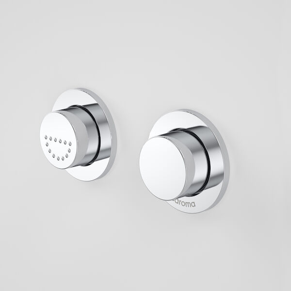 Invisi Series II® Round Dual Flush Raised Care Remote Buttons